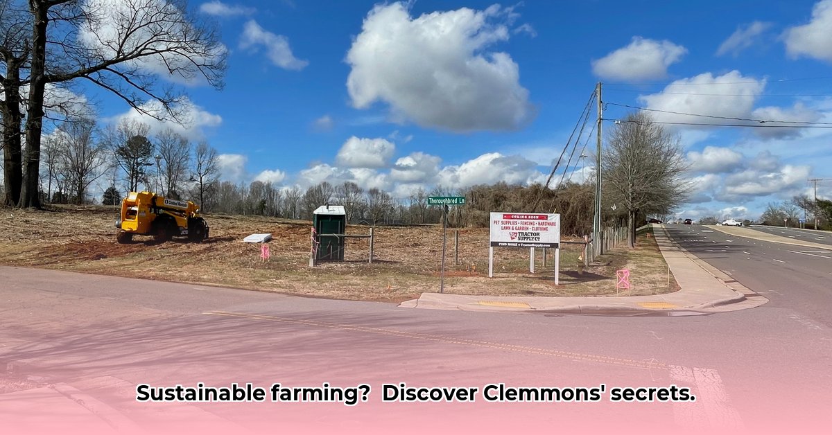 clemmons-tractor-supply